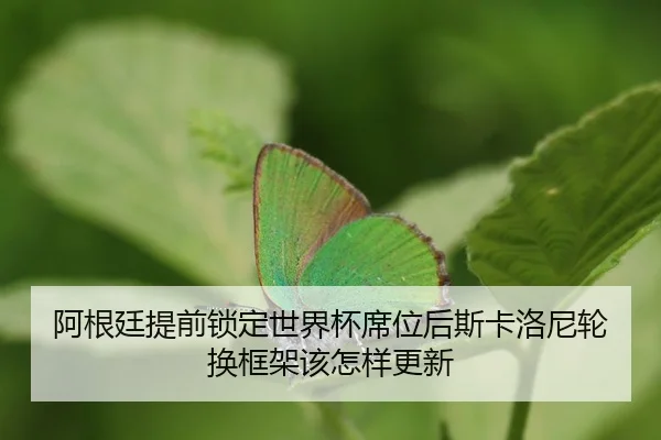 a-gen-ting-ti-qian-suo-ding-shi-jie-bei-xi-wei-hou-si-ka-luo-ni-lun-huan-kuang-jia-gai-zen-yang-geng-xin-2-968.jpg