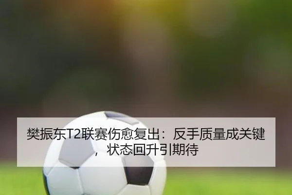 樊振东T2联赛伤愈复出：反手质量成关键，状态回升引期待